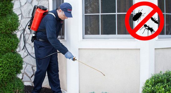 Gölbaşı Tahtakurusu İlaçlama böcek ilaçlama ve haşere kontrolü — ilaclama-tr.com